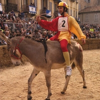 Traditional Donkey Race
